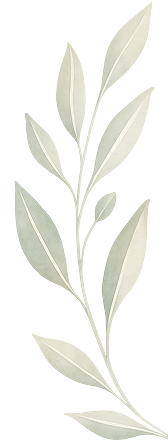 leaf image